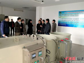 福建国资公司主动作为探新路 困难国企如何通过技术开发实现战略重组