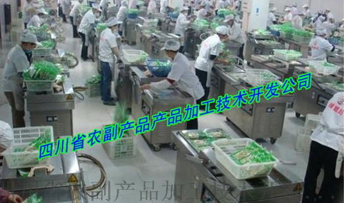 大头菜生产设备技术开发 迈向现代化与便捷化