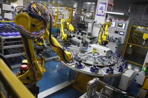 红绿相映，扮靓浙西南——老区新征程上的技术开发奋进篇章